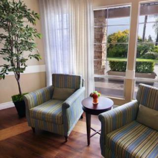 A cozy living room corner with two striped armchairs, a small round table, and an indoor plant, bathed in natural light from large windows.