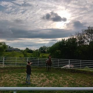 A trainer works with a horse in a round pen under a dramatic sky.