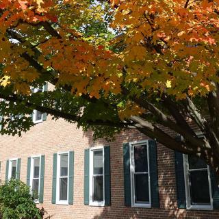 A brick house surrounded by a tree with vibrant autumn leaves.