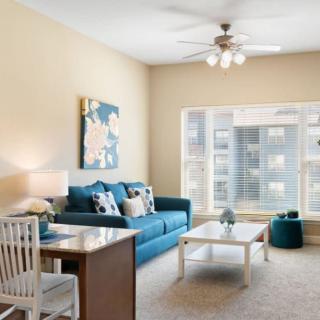 A cozy living room with a blue sofa, coffee table, and ample natural light.