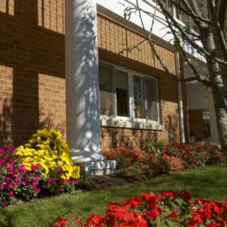 A beautifully landscaped garden with vibrant flowers in front of a brick building, bathed in sunlight.