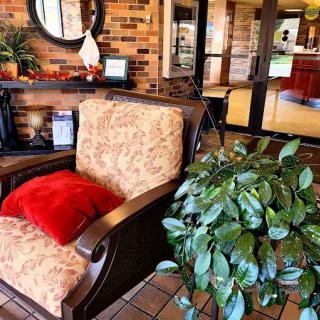 A cozy interior with a cushioned chair, decorative mirror, and lush plants against a brick wall.