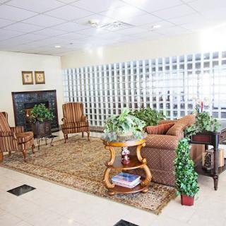 A cozy living room with elegant furniture, decorative plants, and a warm fireplace.