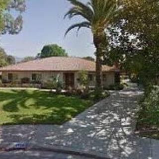 A suburban house with a palm tree and a well-maintained garden.