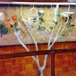 An artistic display featuring dried flowers arranged on tree branches against a wooden backdrop.