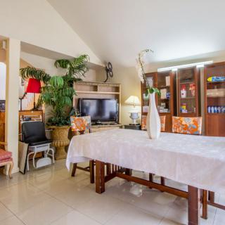 A cozy living room with a dining area, featuring a large table, bookshelves, and decorative plants.