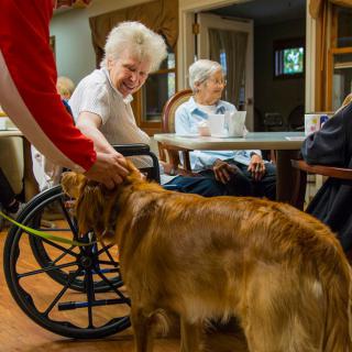 Elderly individuals interacting with a dog during pet therapy in a nursing home.
