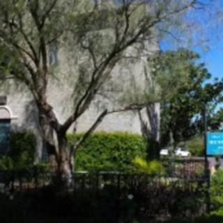 A lush garden with a tree in front of a building, featuring a sign.