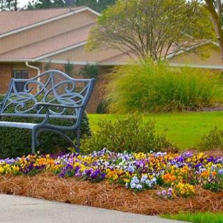A well-maintained garden with colorful flowers and a decorative metal bench.