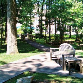 A serene park setting with a wooden bench and pathway surrounded by trees.