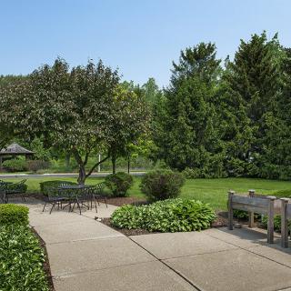 A peaceful park setting with lush greenery, a paved pathway, benches, and tall trees.