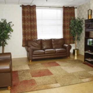 A cozy living room with leather furniture, a patterned rug, and indoor plants.