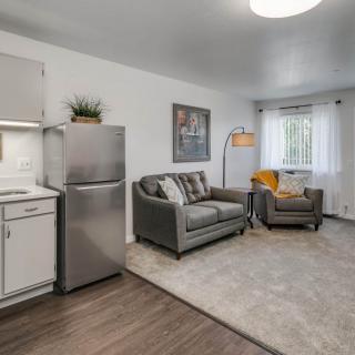 A modern living area with a kitchenette, featuring a comfortable sofa and stylish decor.