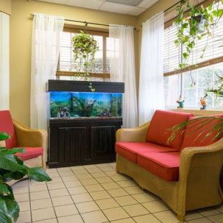 A cozy waiting room featuring a fish tank, indoor plants, and comfortable seating.