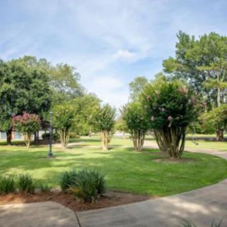 A tranquil park scene with lush greenery and a winding pathway on a sunny day.