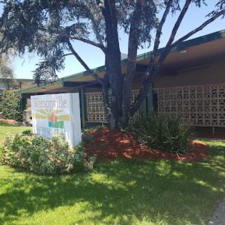 A sunny day view of a landscaped building exterior with a prominent tree and signage.