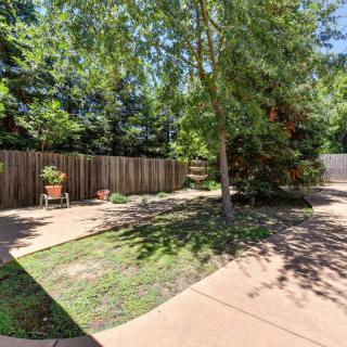 A serene backyard with a paved patio, surrounded by lush trees and plants.