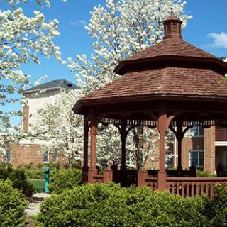 A picturesque gazebo surrounded by blossoming trees on a clear, sunny day.