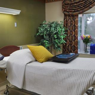 A hospital room with a bed, pillows, and an indoor plant near the window.
