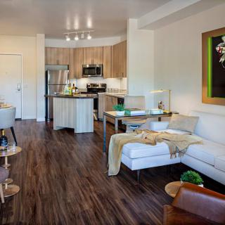 A modern open-concept living space with a corner sofa and integrated kitchen area.