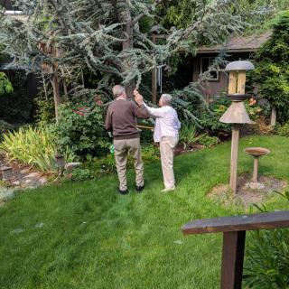 Two people observing plants in a garden.