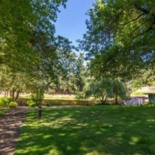 A serene park scene with lush green grass and towering trees under a clear blue sky.