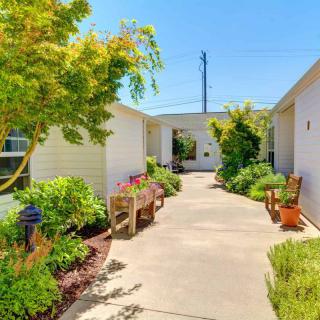 A sunny outdoor walkway lined with benches and lush greenery.