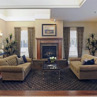 A cozy living room with two sofas facing each other around a glass coffee table, featuring a central fireplace and decorative plants by the windows.