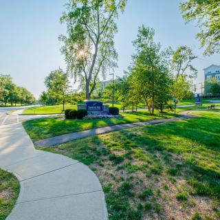 A serene college campus with a winding pathway and lush greenery.
