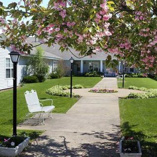 A scenic garden path lined with lampposts and a bench under blooming trees.