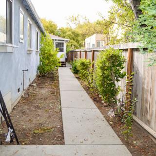 A narrow concrete pathway lined with bushes along the side of a house.