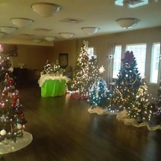 A beautifully decorated indoor space featuring multiple themed Christmas trees ready for holiday festivities.