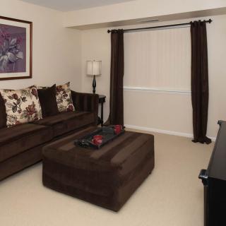 A cozy living room with a dark brown sofa, matching coffee table, and elegant decor.