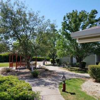 A serene garden walkway with lush greenery and trees under a clear blue sky.