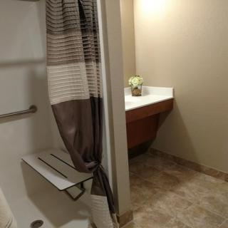 A bathroom with a shower area and a sink with a mirror.