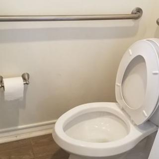 A bathroom featuring a toilet with an adjacent handrail and wall-mounted toilet paper holder.