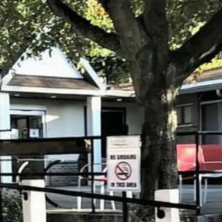 A house with a large tree in front and a 'No Smoking' sign.