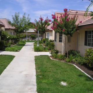 A peaceful residential area with a sidewalk lined by houses and landscaped gardens.