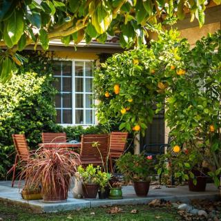 A cozy garden patio with wooden furniture and lush greenery.