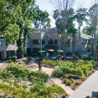 A beautiful garden with lush greenery and pathways in a residential area.