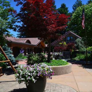 A beautifully landscaped garden with vibrant foliage and a charming house in the background.