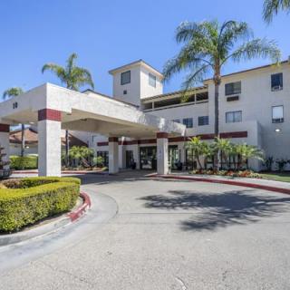 A building entrance with a driveway, surrounded by palm trees on a sunny day.