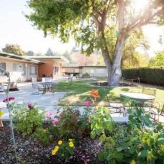 A sunny backyard garden with outdoor seating and vibrant flowers.