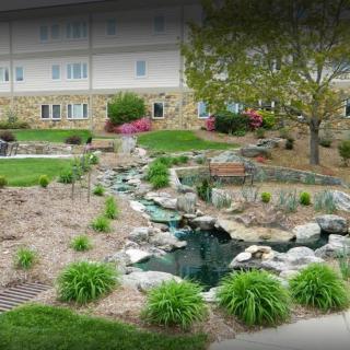 A beautifully landscaped garden featuring a small pond and a variety of plants, set against the backdrop of a large building.