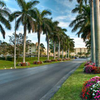A scenic road lined with palm trees and vibrant flowerbeds leading to residential buildings under a clear sky.