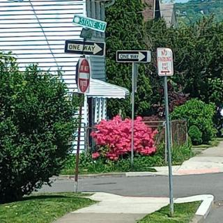 A colorful corner in a neighborhood featuring street signs, a stop sign, and blooming pink flowers.