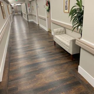 A long, well-lit hallway with wooden flooring and a bench next to a plant.
