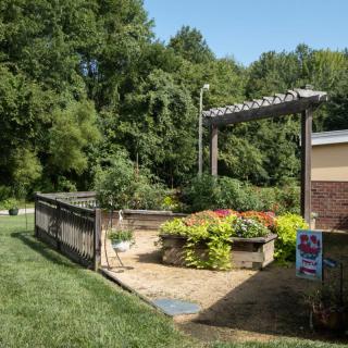 A serene garden with a pergola and lush greenery under a clear blue sky.