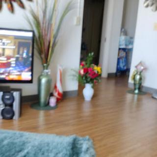 A cozy living room with vibrant flower arrangements and a television, creating a warm atmosphere.