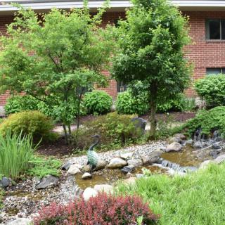 A beautifully landscaped garden with lush greenery and a variety of plants and trees.